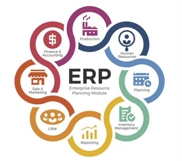 Importance of Enterprise Resource Planning (ERP)